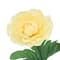 10.5" Ranunculus Bush by Ashland®